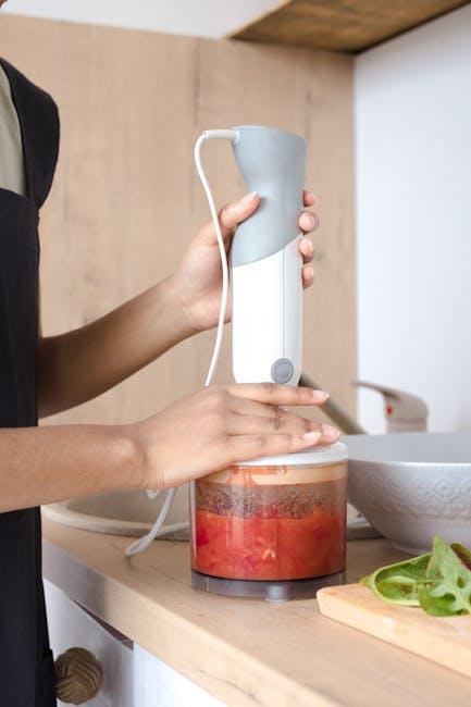 Best Hand Blender – Philips ProMix Essence Review